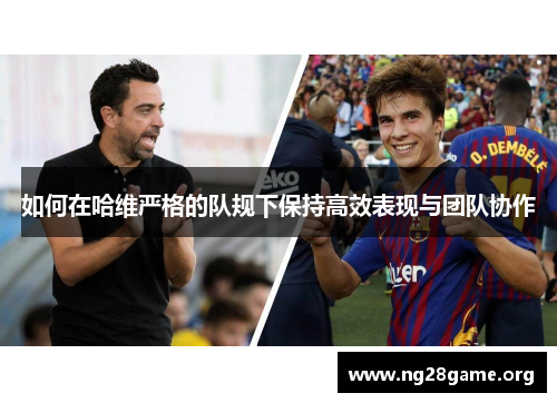 如何在哈维严格的队规下保持高效表现与团队协作