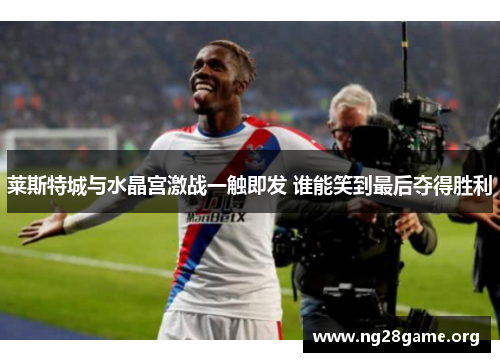 莱斯特城与水晶宫激战一触即发 谁能笑到最后夺得胜利 莱斯特城与水晶宫激战一触即发 谁能笑到最后夺得胜利
