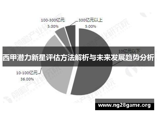 西甲潜力新星评估方法解析与未来发展趋势分析